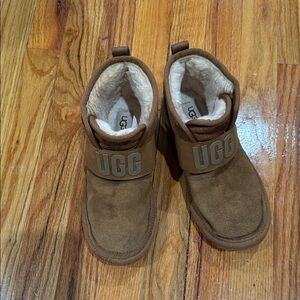 UGG Chestnut Suede Ankle Boots